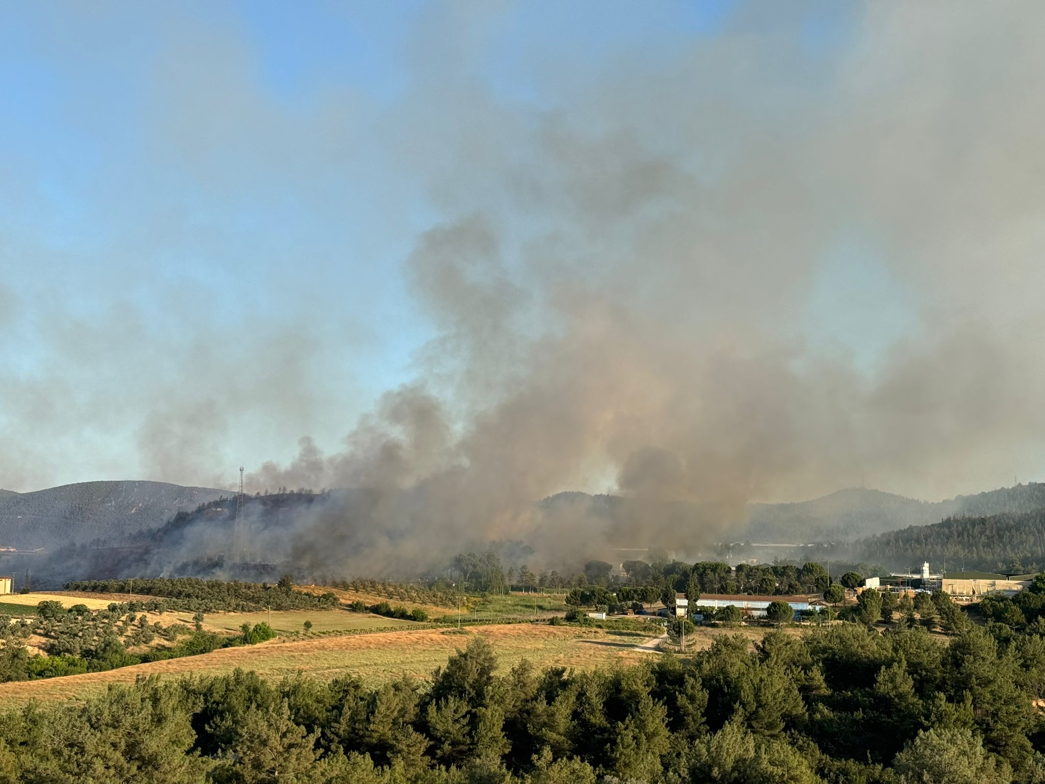 Whatsapp Image 2025 06 25 At 19.30.40