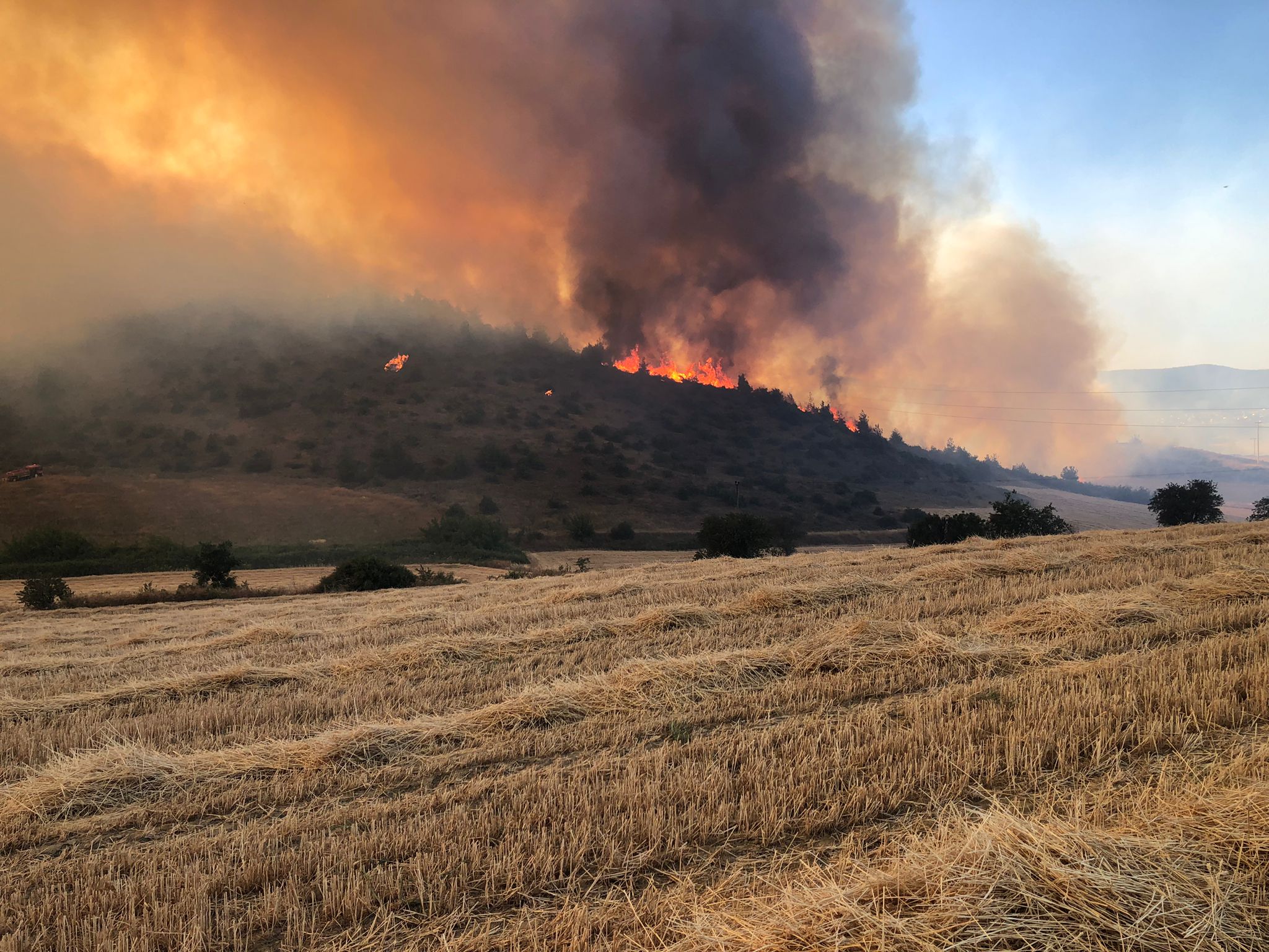 Whatsapp Image 2025 06 25 At 20.54.21