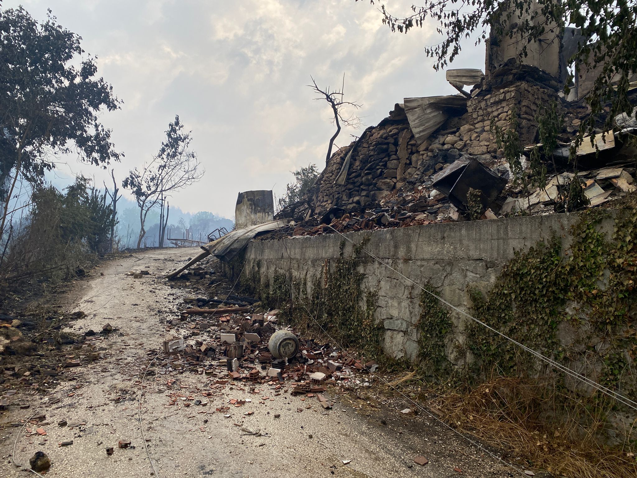 Whatsapp Image 2025 06 29 At 08.25.59 (1)