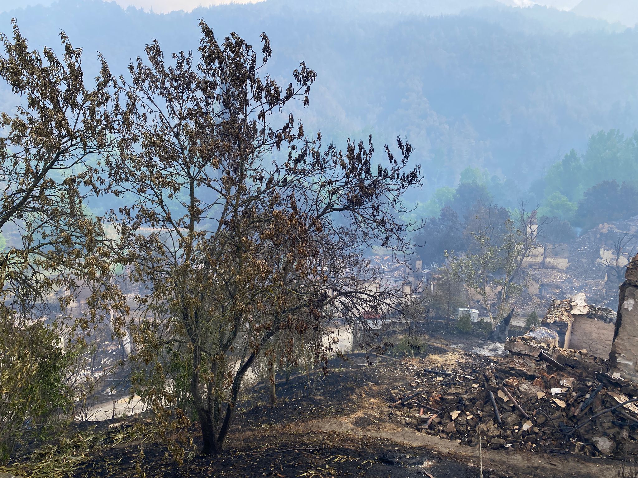 Whatsapp Image 2025 06 29 At 08.39.29