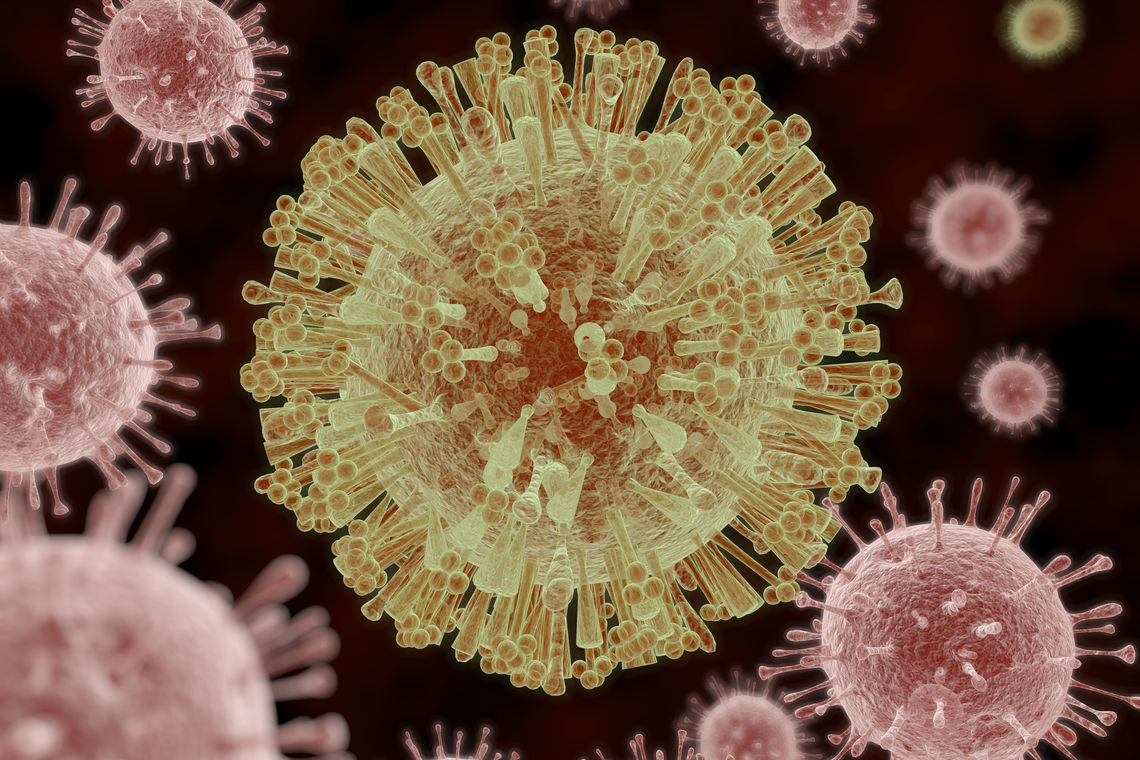 Zika Virus Hastaligi