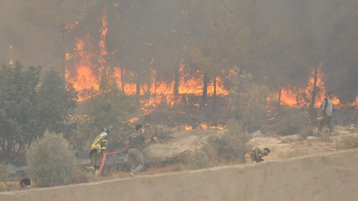 Son Tarih 2 Agustos Arazi Sahiplerine 10 Metre Yasagi Geldi C2Tx