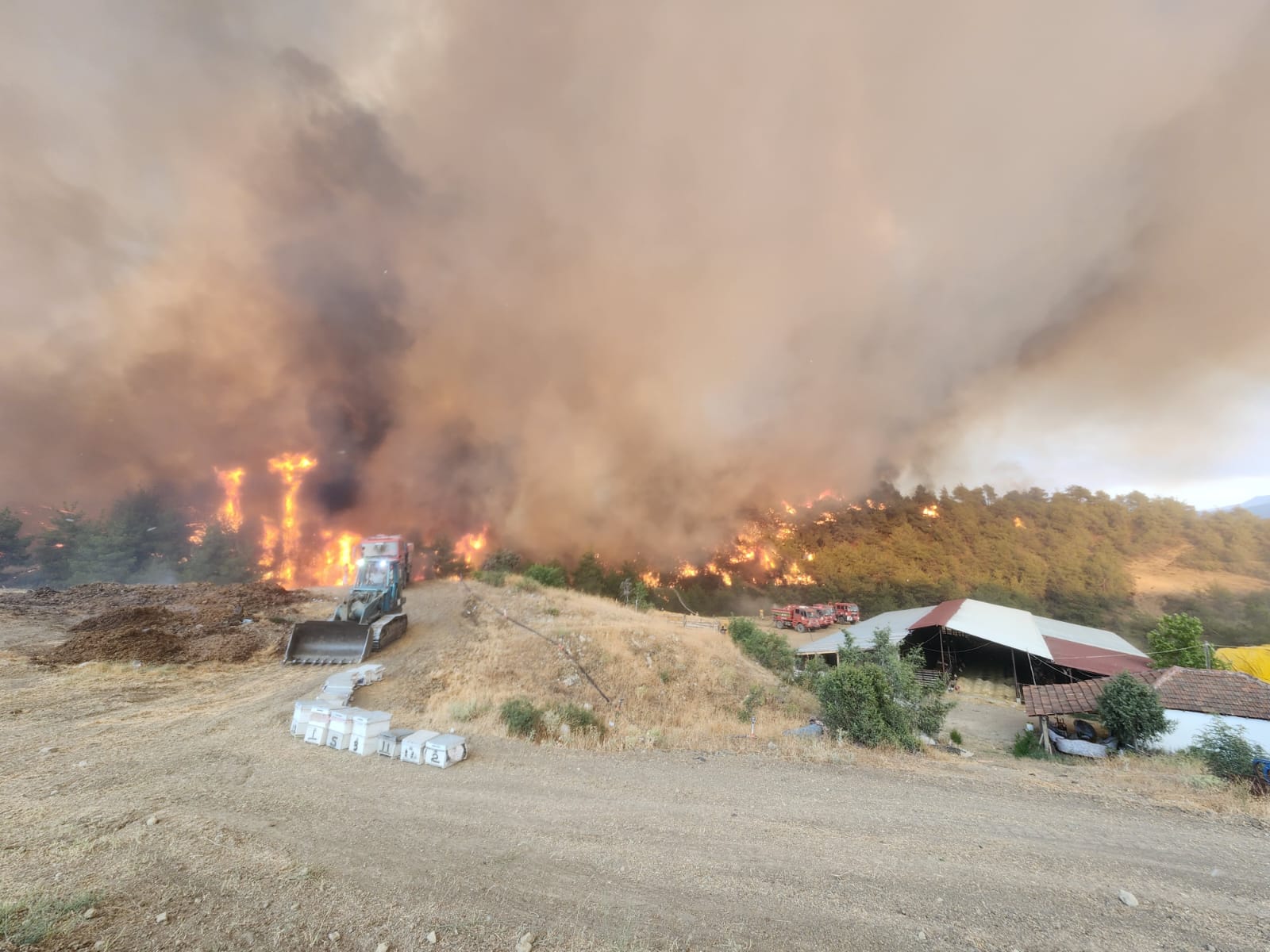 Whatsapp Image 2025 07 22 At 18.38.56