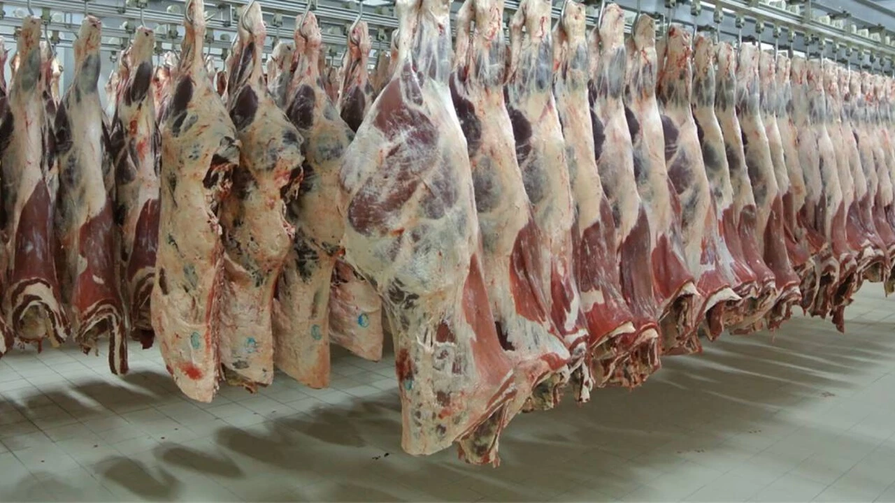 Turkiyenin Dev Et Markasi Konkordato Ilan Etti 3 Ay Muhlet Tanindi Okkv Cover