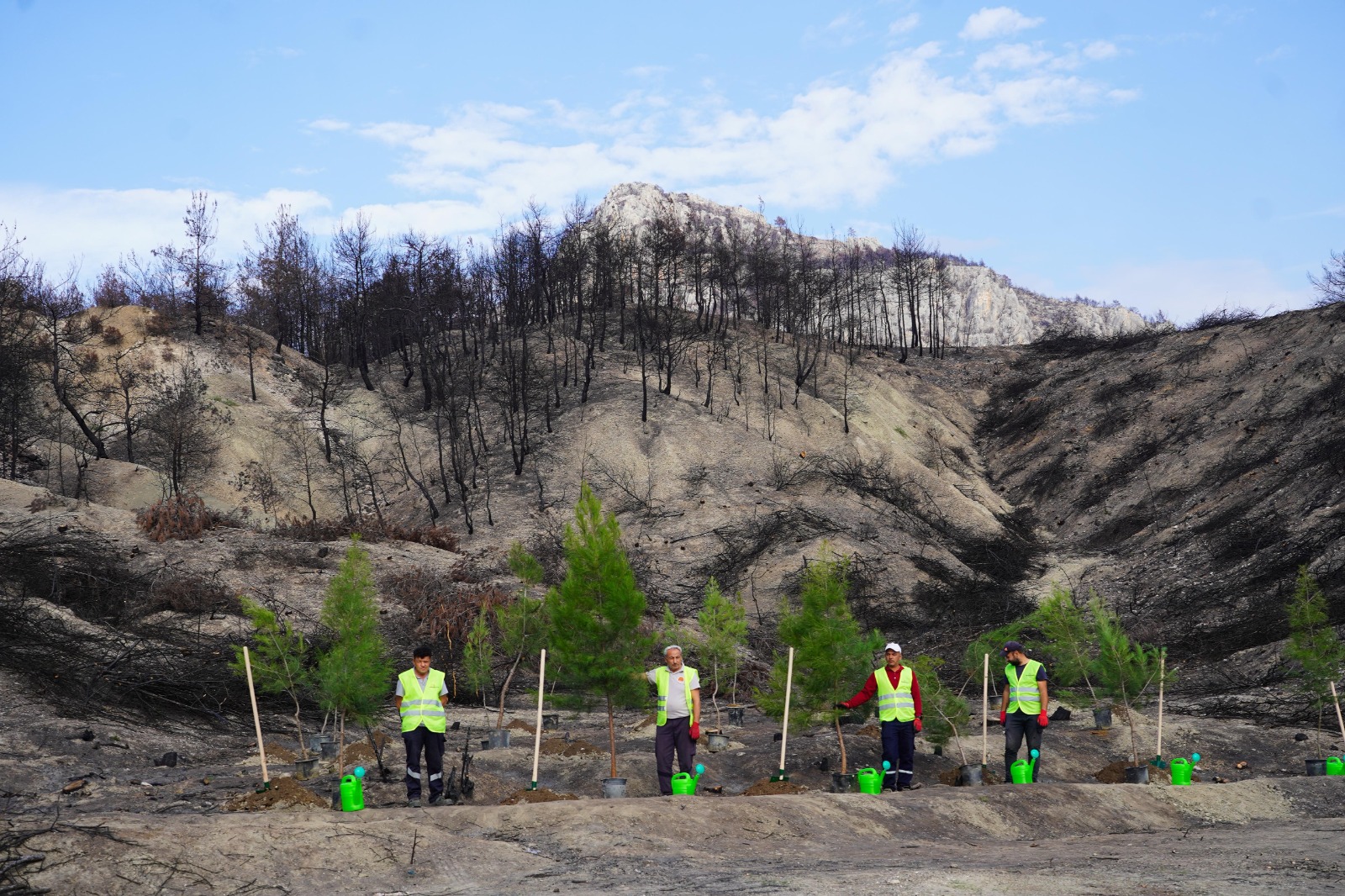 Whatsapp Image 2025 10 24 At 12.09.27 (1)