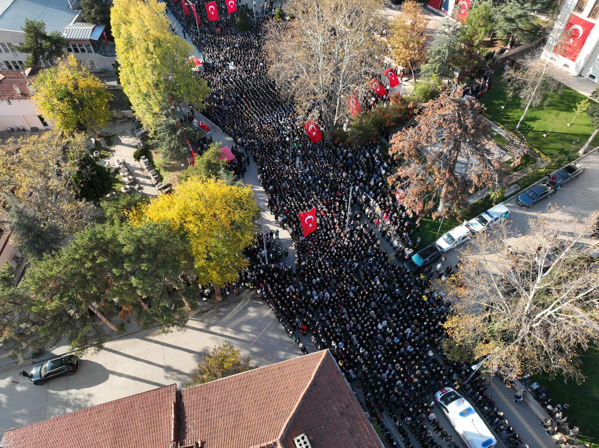 583513806 1723196319091372 5870275418799580547 N