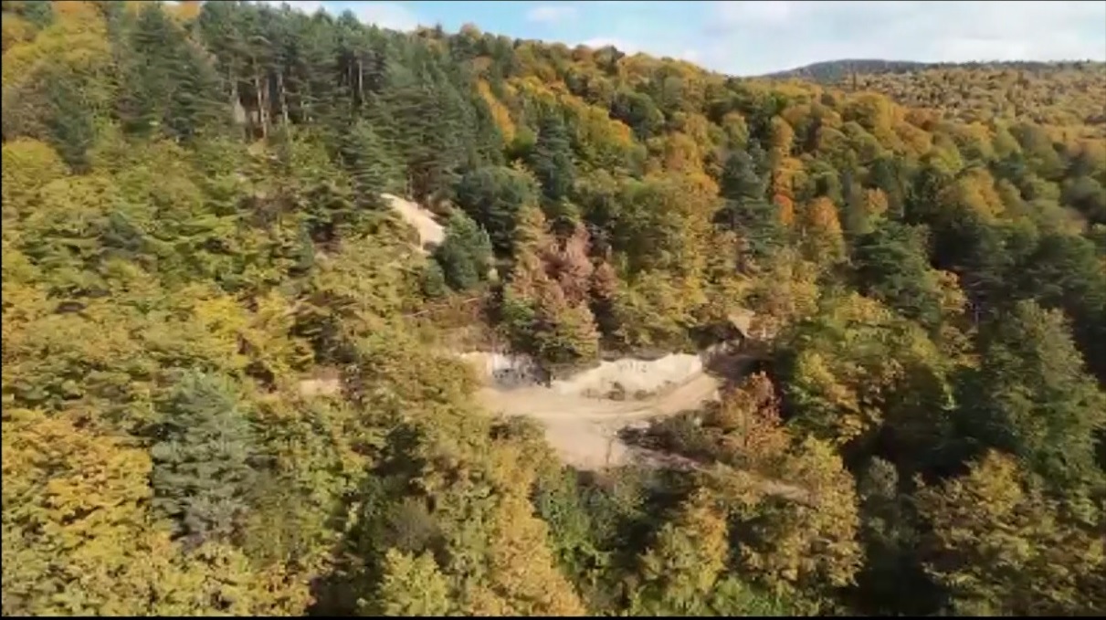 Whatsapp Image 2025 11 08 At 12.45.31