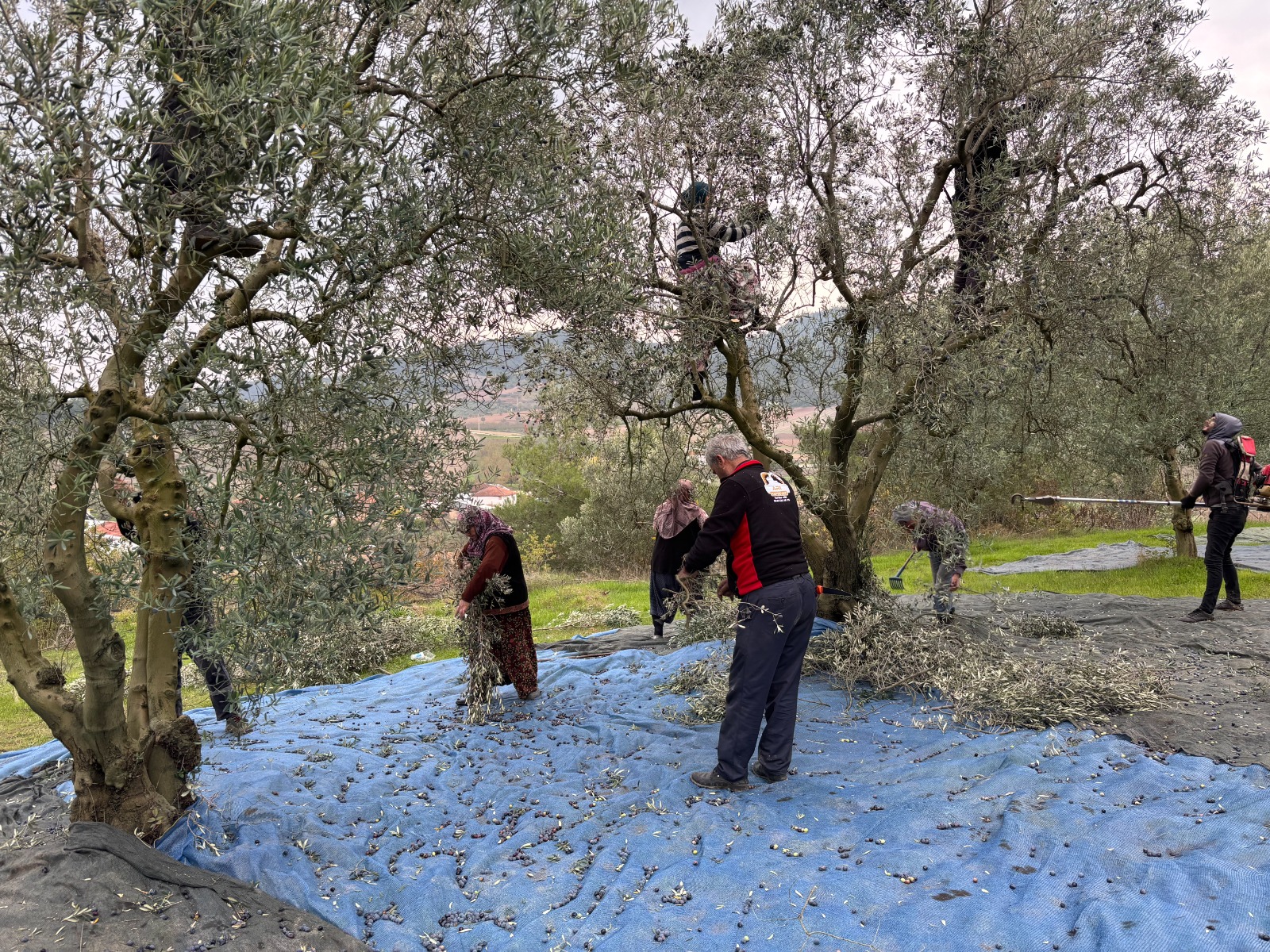 Whatsapp Image 2025 12 04 At 12.01.46 (1)