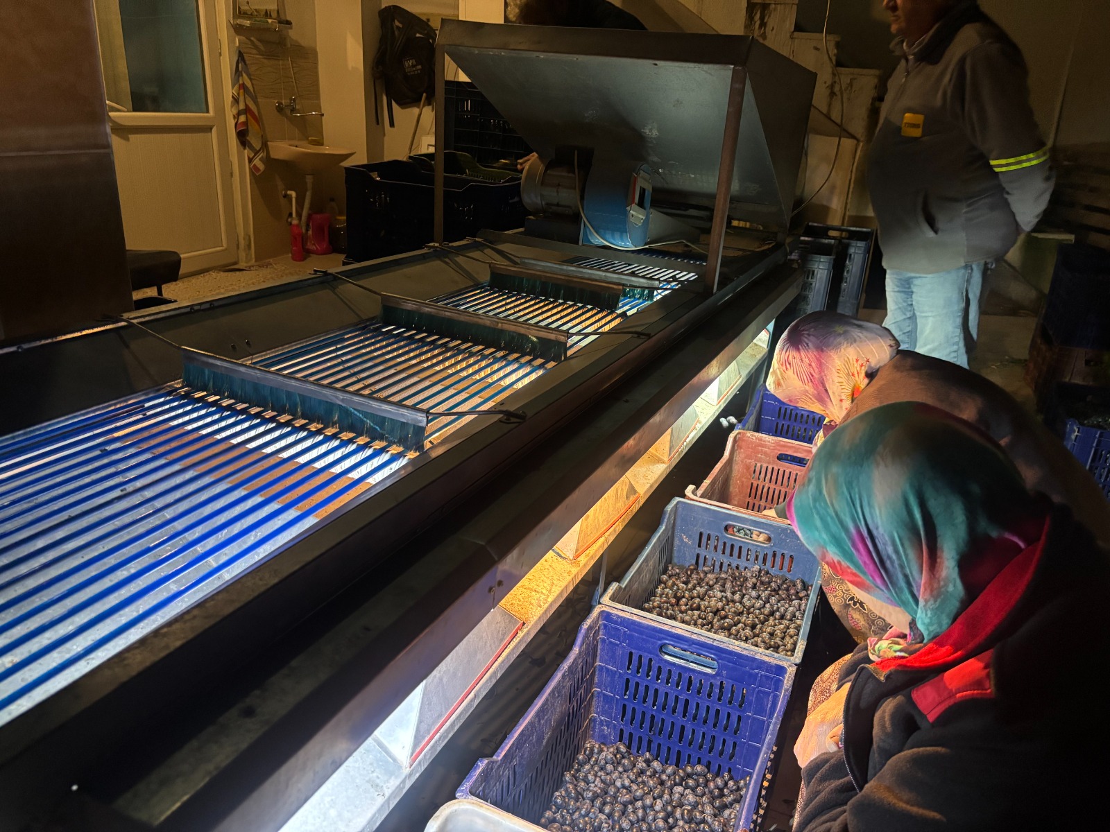 Whatsapp Image 2025 12 04 At 12.01.46 (4)