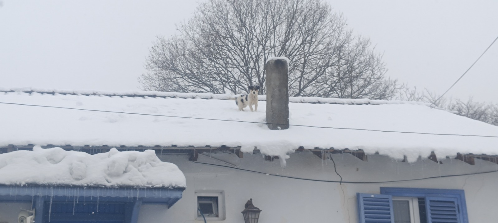 Whatsapp Image 2026 01 02 At 12.23.37