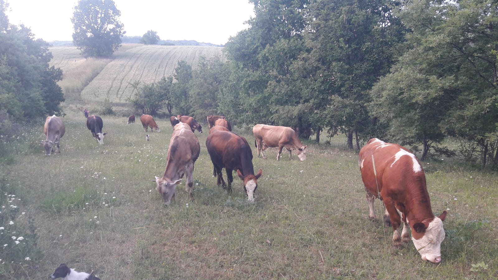 Whatsapp Image 2026 01 09 At 12.41.58