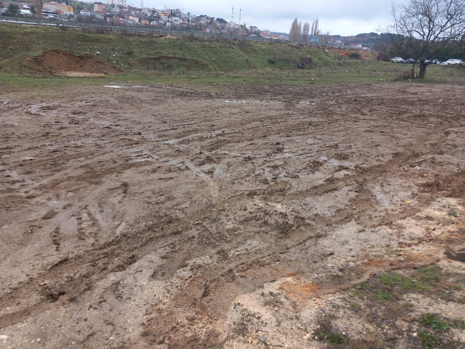 Whatsapp Image 2026 02 04 At 12.39.28