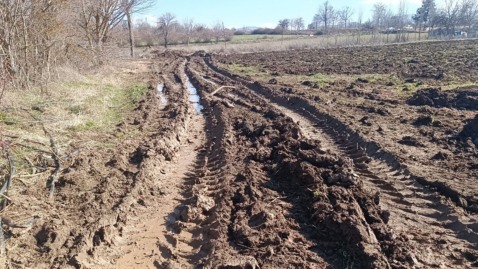 Whatsapp Image 2026 03 11 At 12.38.44 (1)