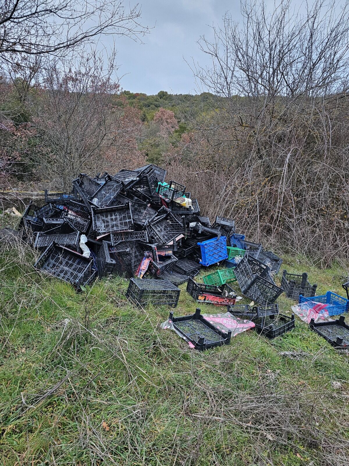 Whatsapp Image 2026 03 25 At 12.42.23