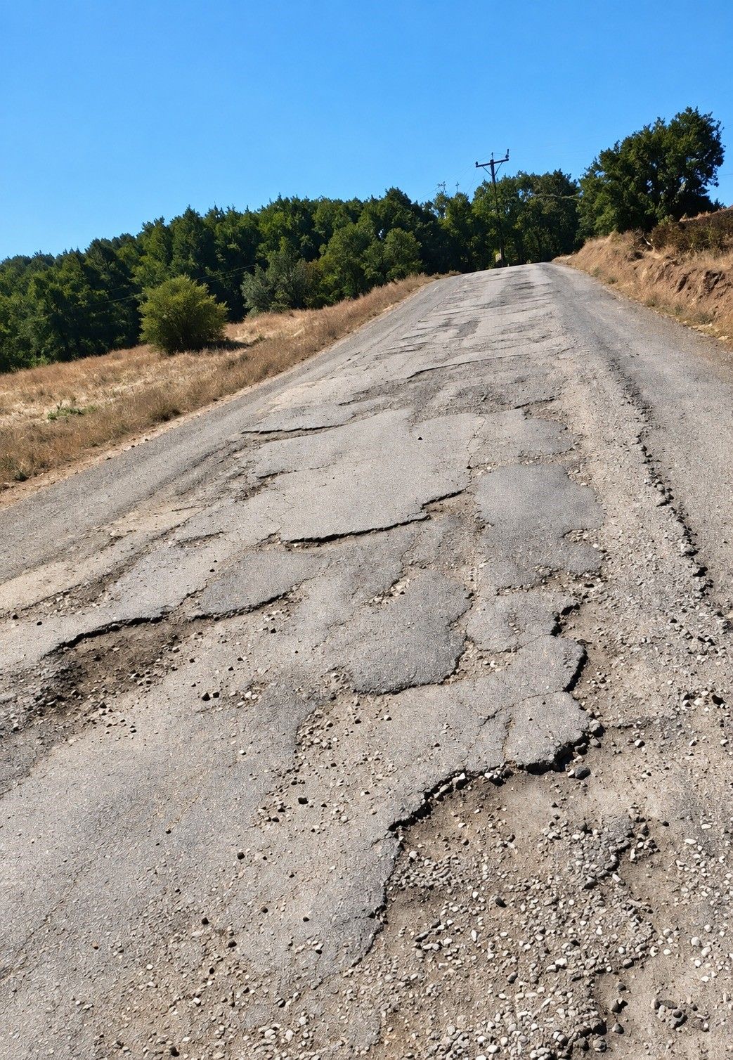 A W812110 01 YOLLAR KÖSTEBEK YUVASINA DÖNDÜ