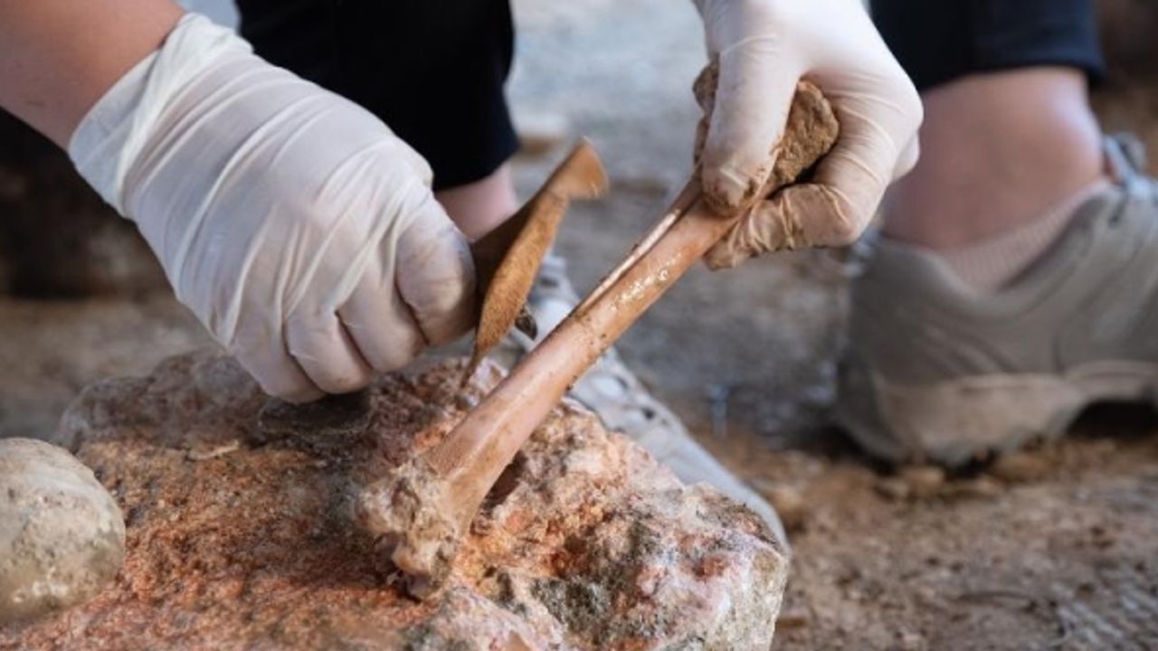 KEMİK ALET TEKNOLOJİSİ SEMİNER VE ATÖLYESİ GERÇEKLEŞTİ