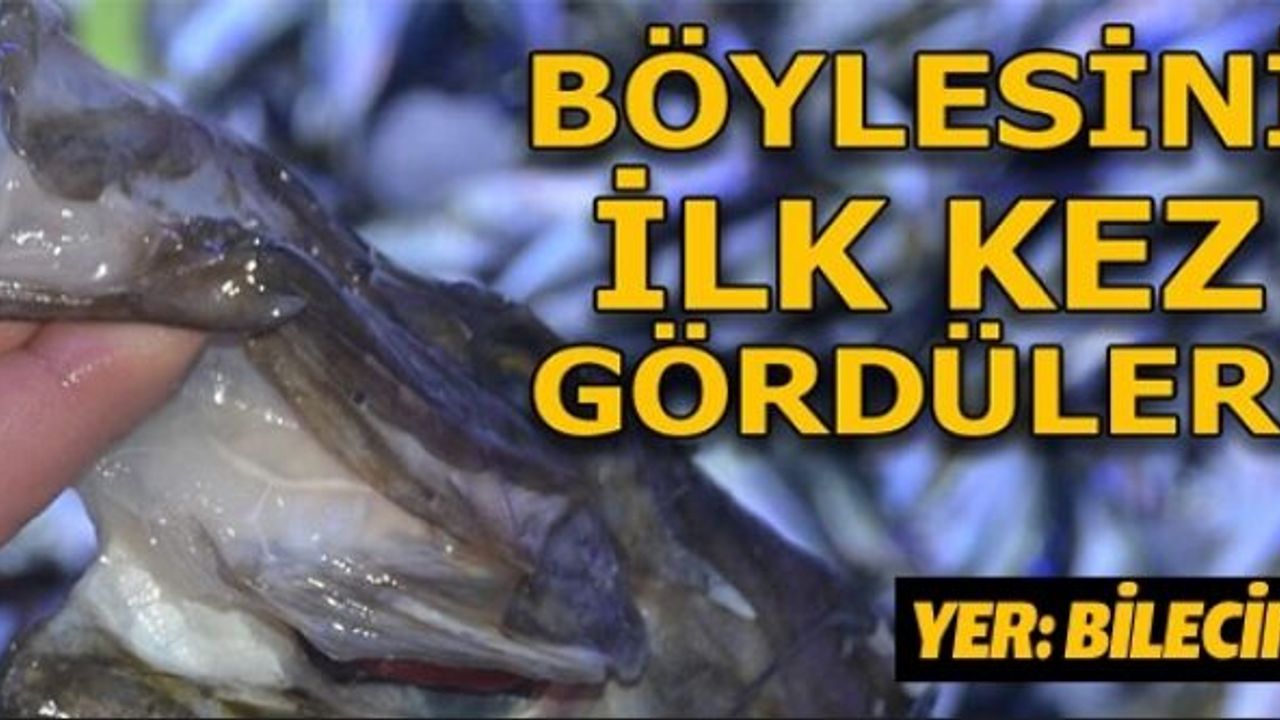BU BALIĞI İLK DEFA GÖRDÜLER