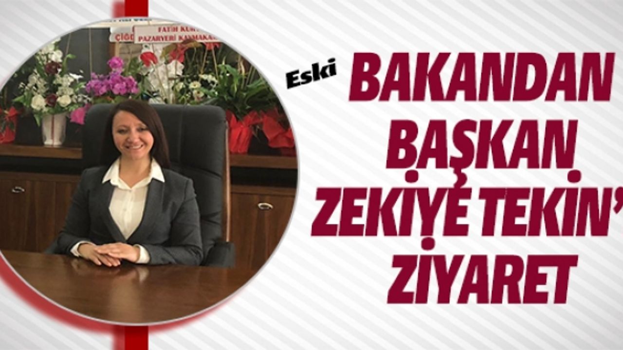 ESKİ BAKANDAN BAŞKAN ZEKİYE TEKİN'E ZİYARET