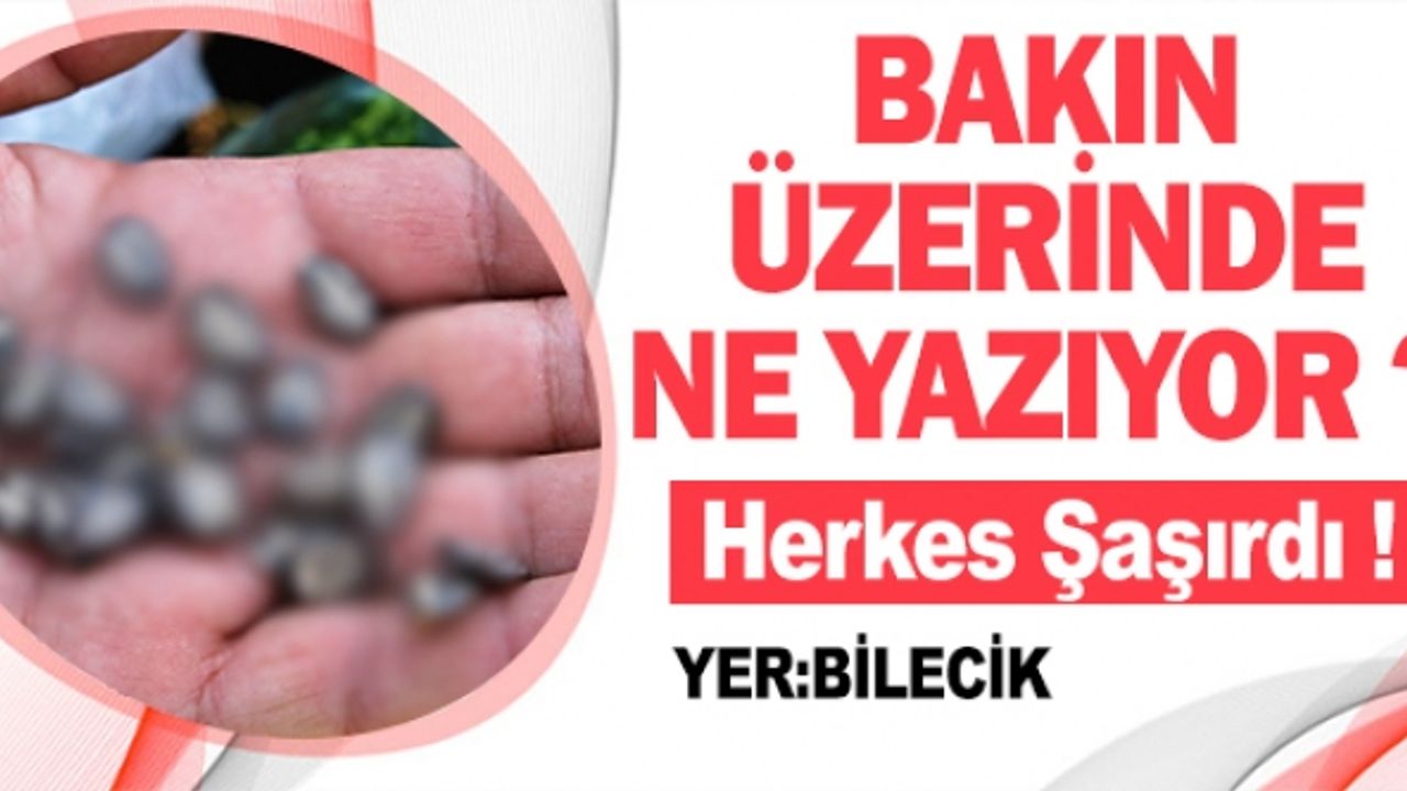 BU KARPUZUN ÇEKİRDEĞİNDE ARAPÇA ALLAH LAFZI VE ELİF YAZIYOR