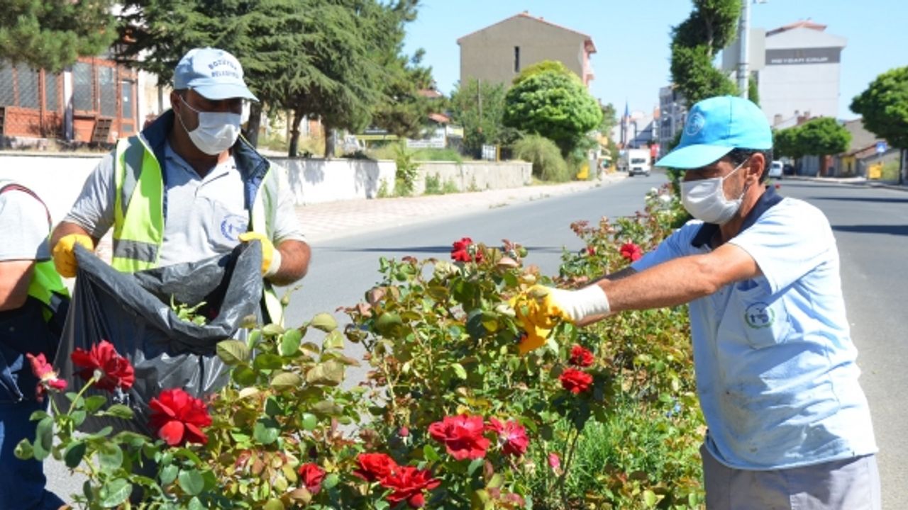 PARK VE YEŞİL ALANLARDAKİ BAKIM ÇALIŞMALARI SÜRÜYOR