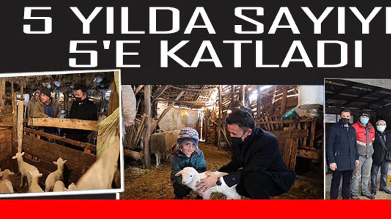 5 YILDA SAYIYI 5'E KATLADI