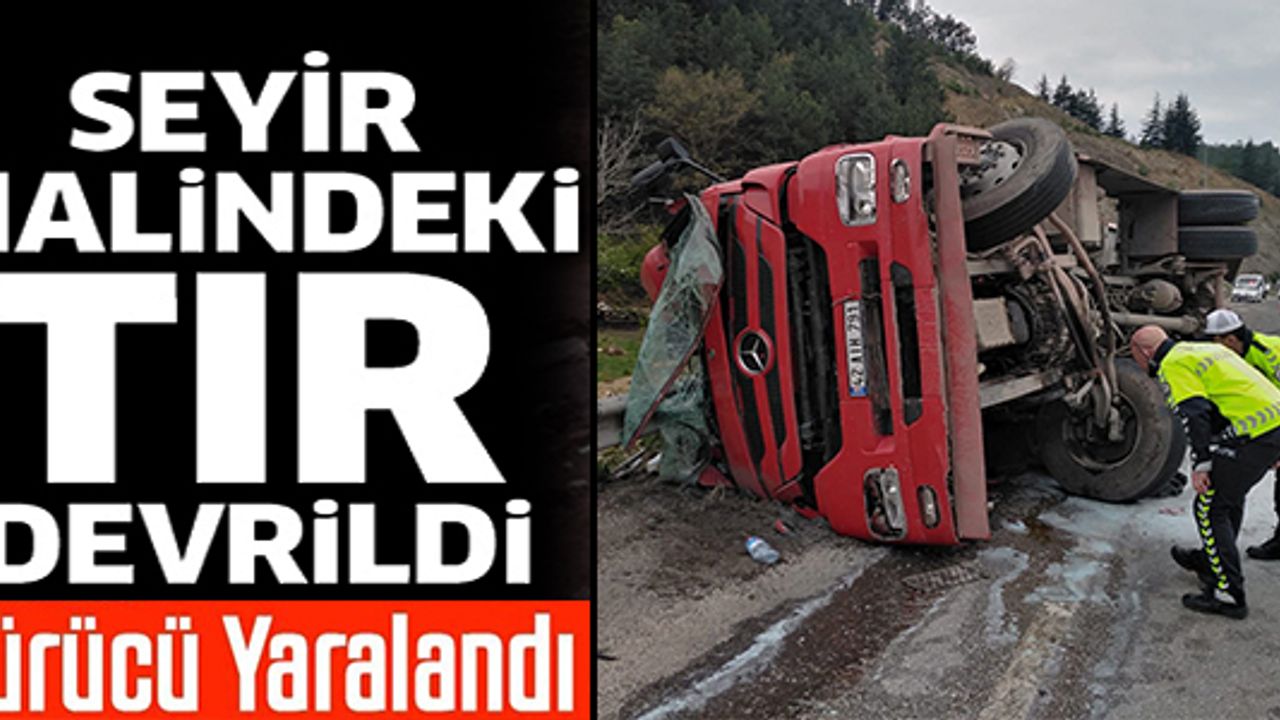 AĞAÇ KÖKÜ YÜKLÜ TIR DEVRİLDİ, SÜRÜCÜSÜ YARALANDI
