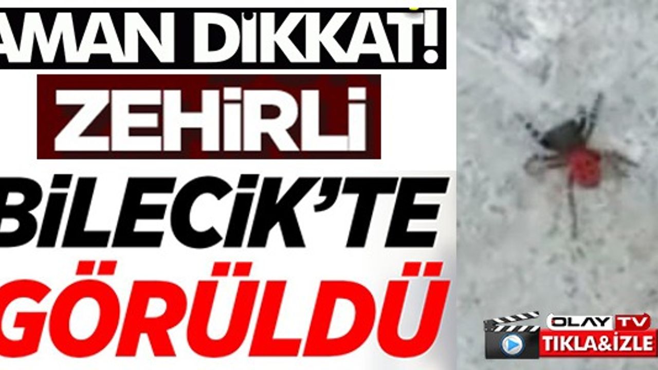 AMAN DİKKAT BİLECİK'TE GÖRÜLDÜ