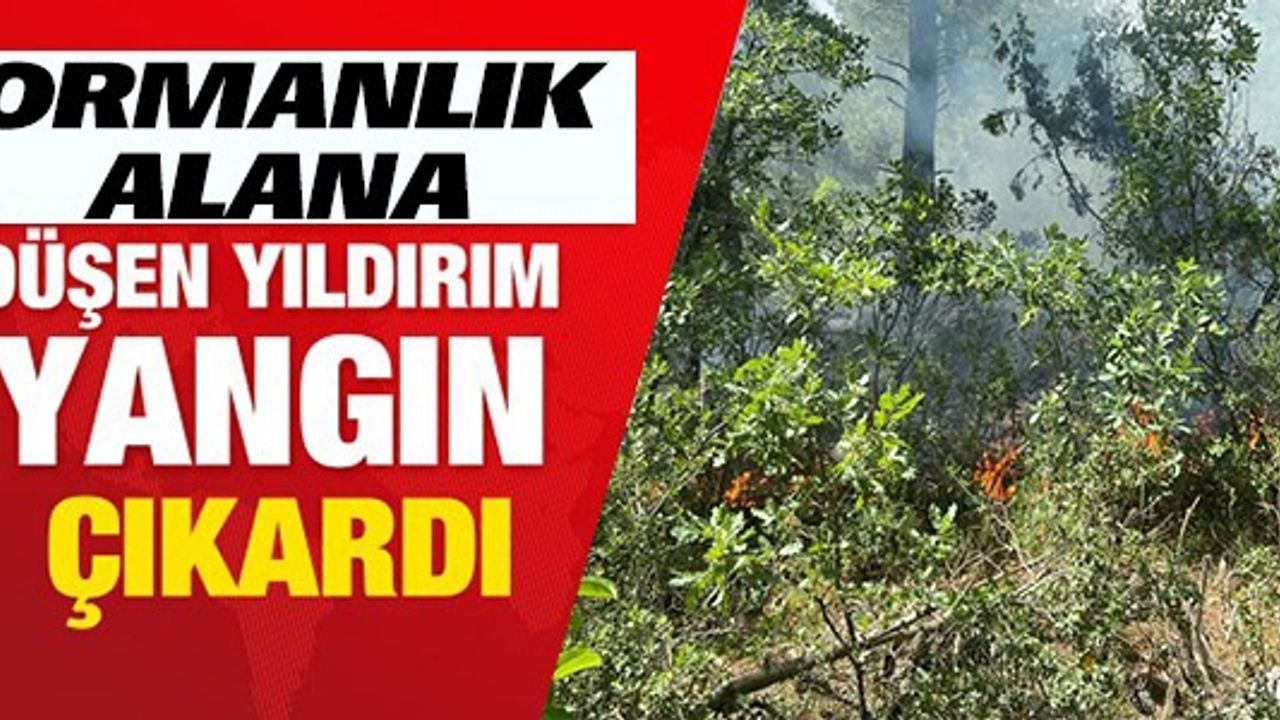 ORMANLIK ALANA DÜŞEN YILDIRIM YANGIN ÇIKARDI