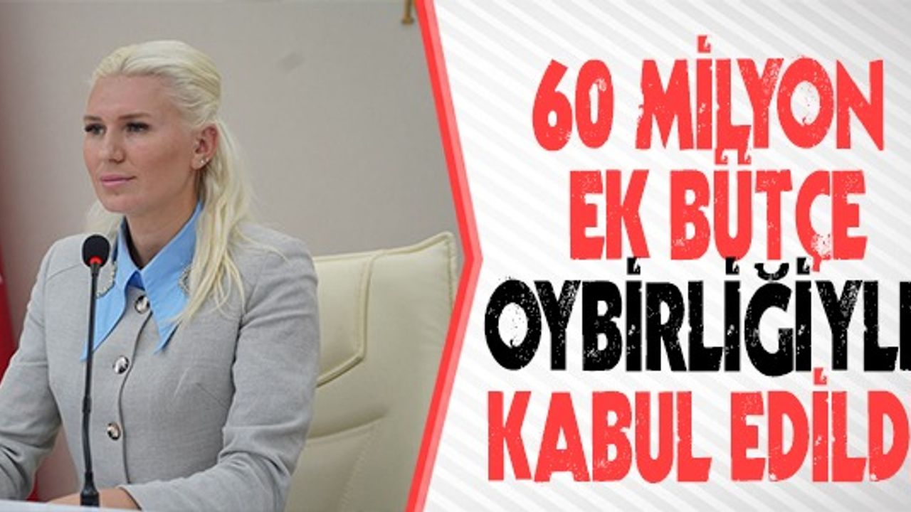 60 MİLYON EK BÜTÇE OY BİRLİĞİYLE KABUL EDİLDİ