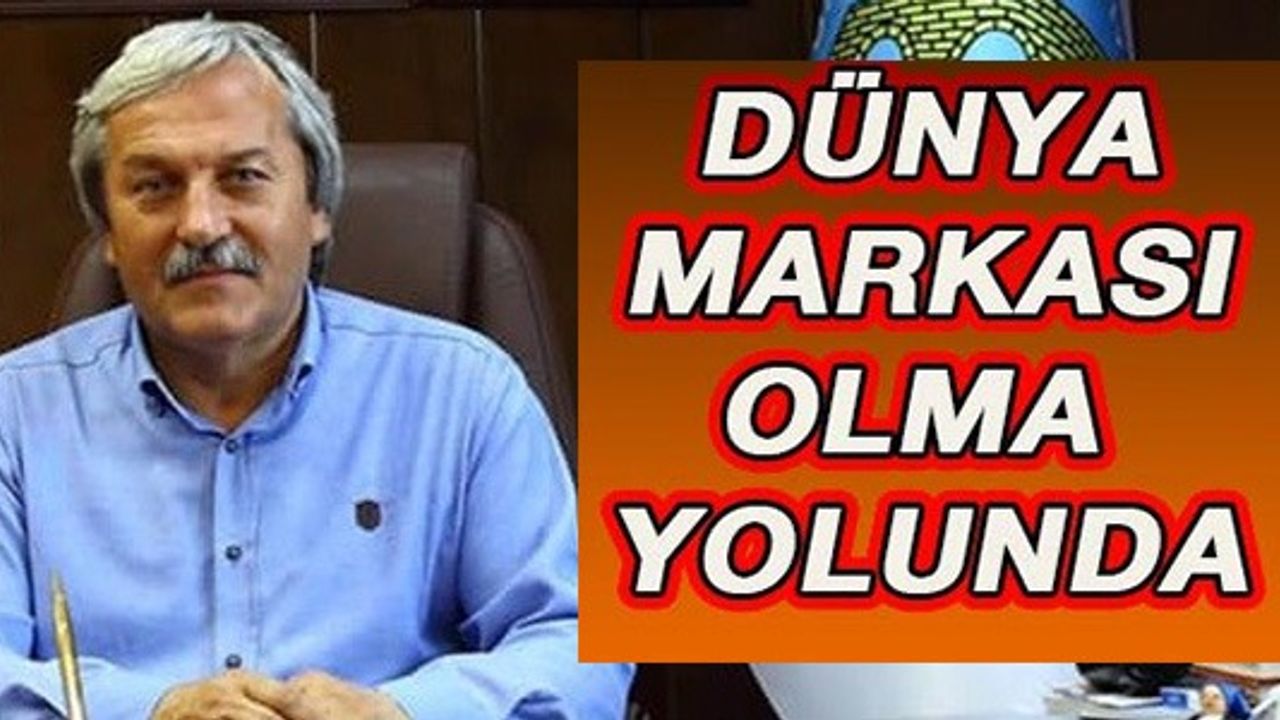 DÜNYA MARKASI OLMA YOLUNDA