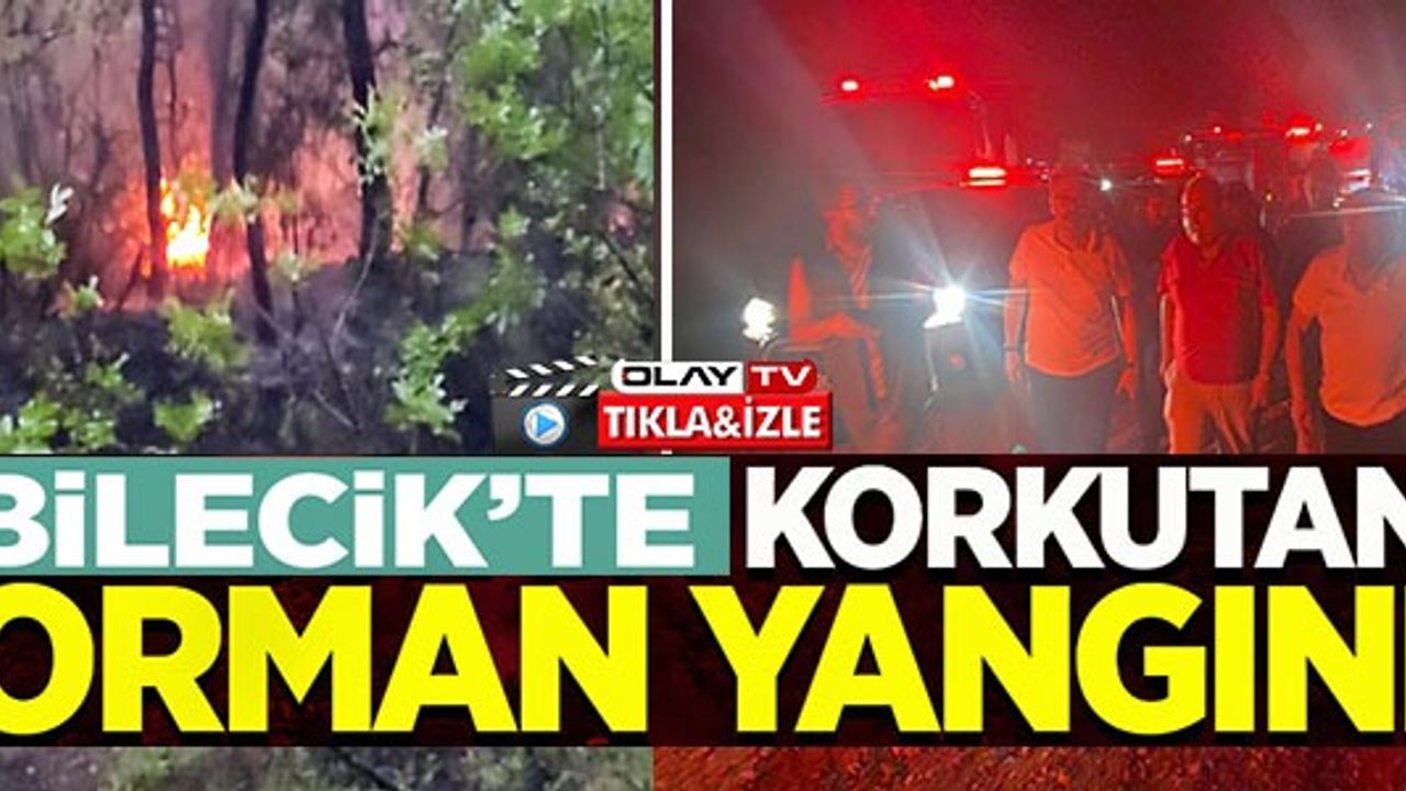 BİLECİK'TE KORKUTAN ORMAN YANGINI