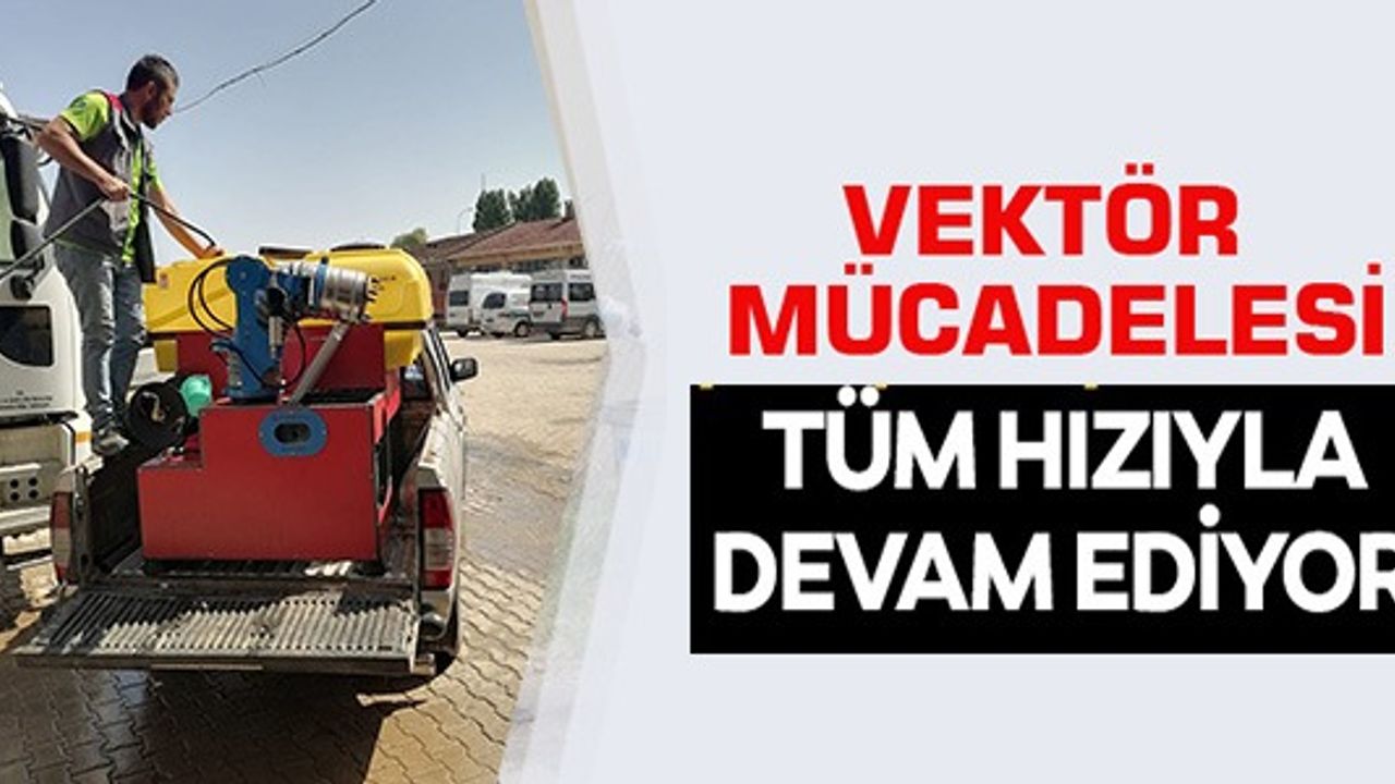 VEKTÖR MÜCADELESİ TÜM HIZIYLA DEVAM EDİYOR