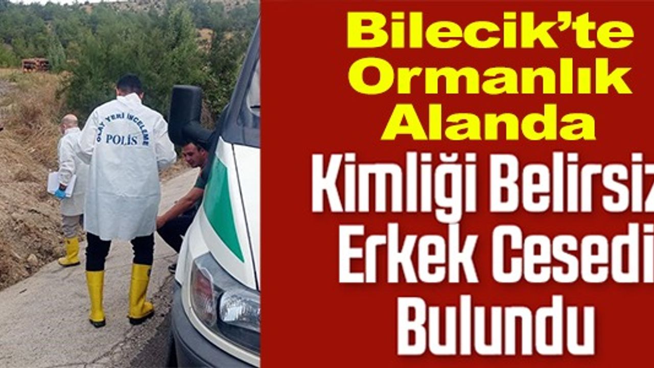 BİLECİK'TE ORMANLIK ALANDA KİMLİĞİ BELİRSİZ ERKEK CESEDİ BULUNDU