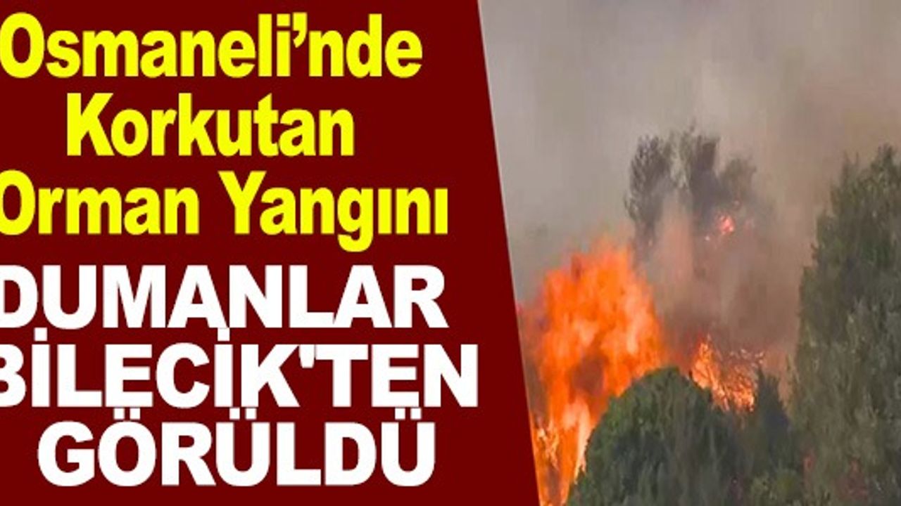 OSMANELİ'NDE KORKUTAN ORMAN YANGINI