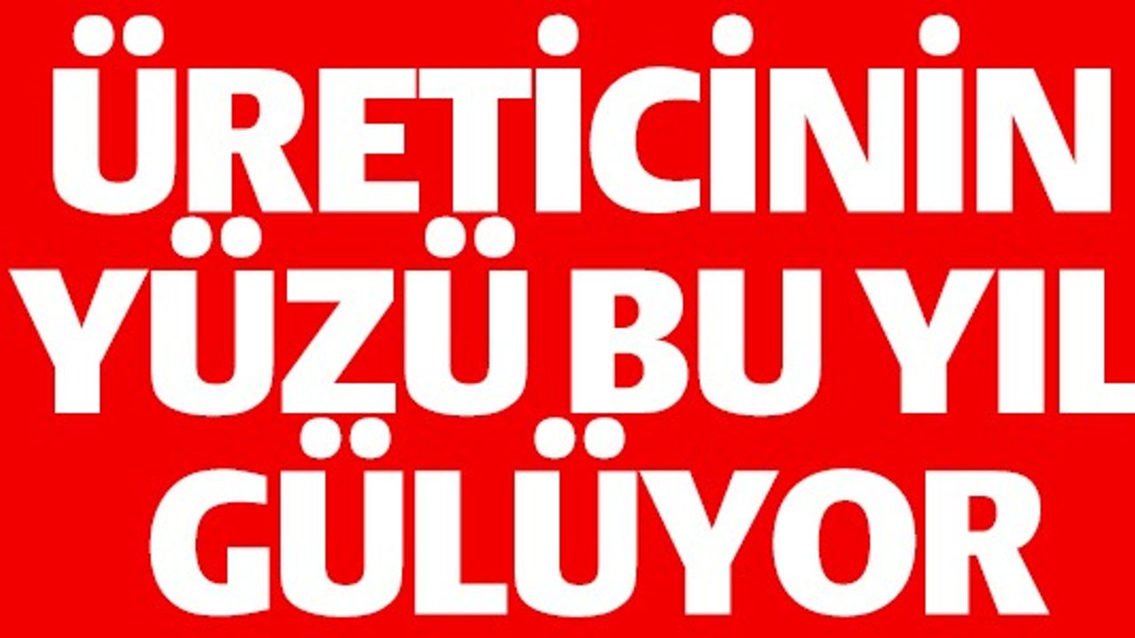 ÜRETİCİNİN YÜZÜ BU YIL GÜLÜYOR