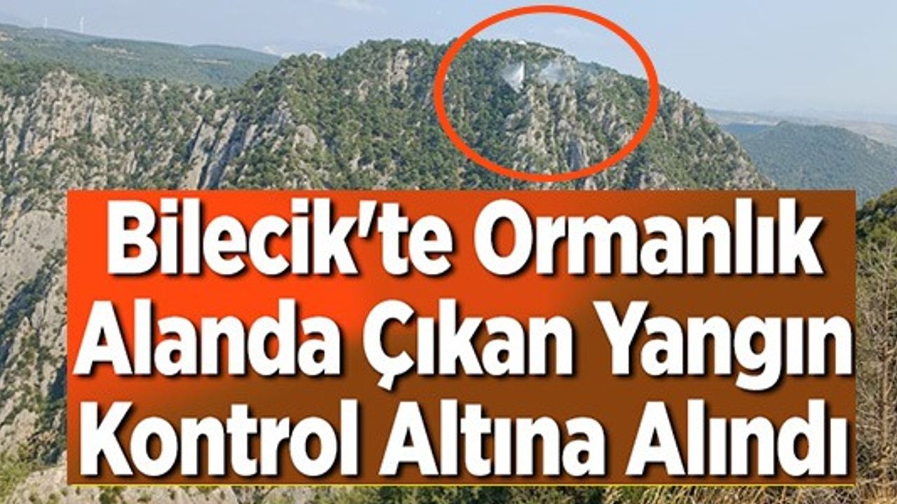 BİLECİK'TE ORMANLIK ALANDA ÇIKAN YANGIN KONTROL ALTINA ALINDI
