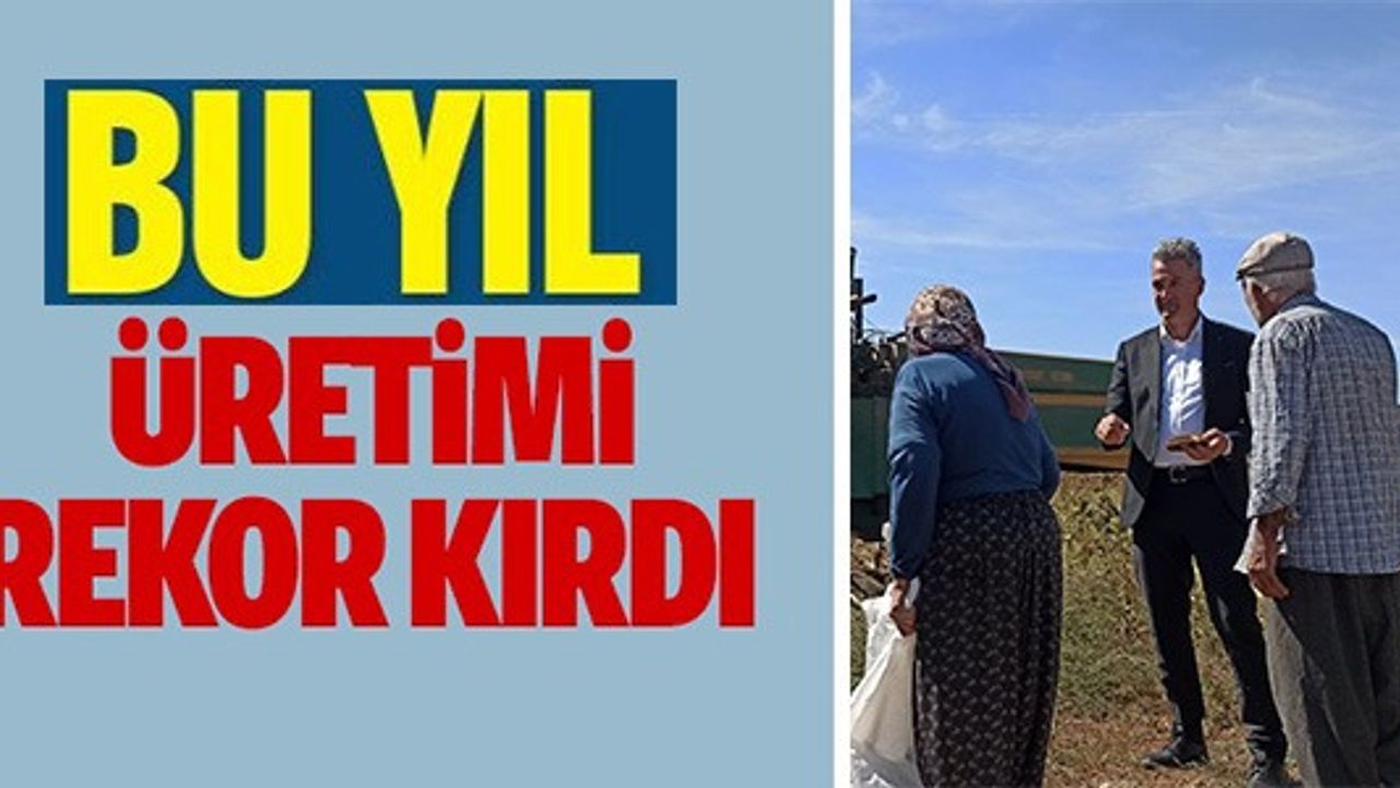 BU YIL ÜRETİMİ REKOR KIRDI