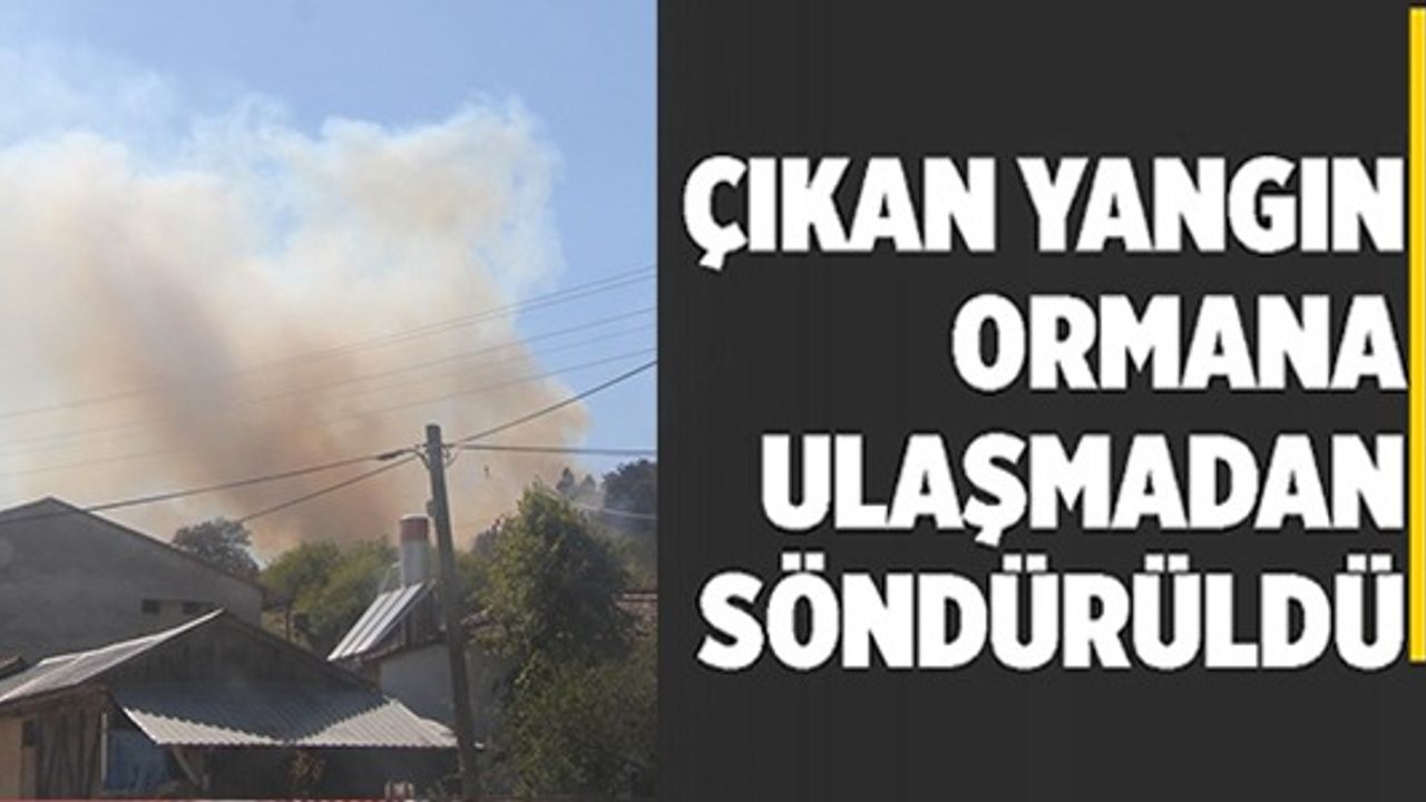 ÇIKAN YANGIN ORMANA ULAŞMADAN SÖNDÜRÜLDÜ