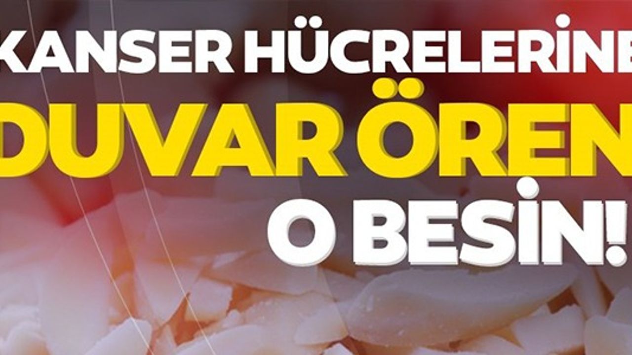 KANSER HÜCRELERİNE DUVAR ÖREN O BESİN!