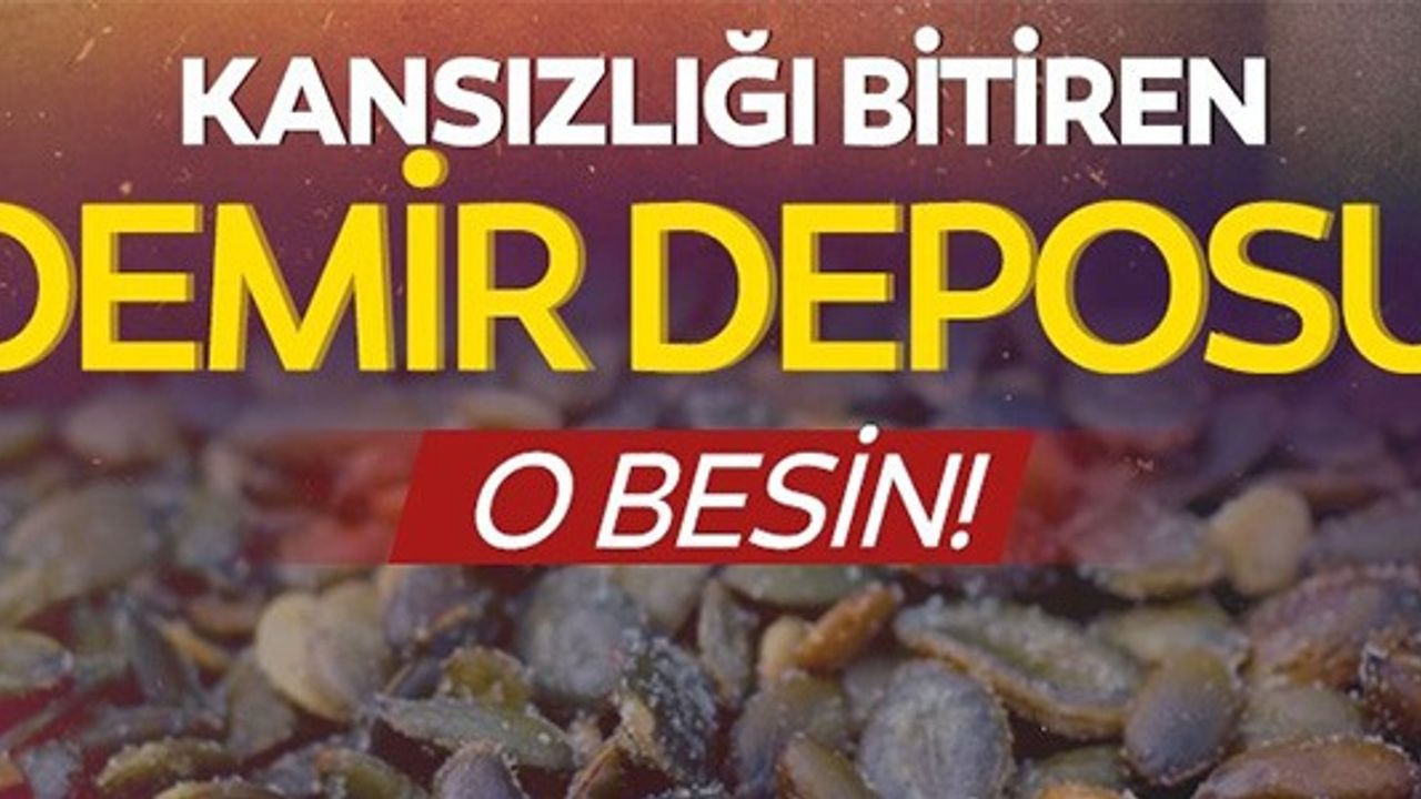 KANSIZLIĞI BİTİREN DEMİR DEPOSU O BESİN!