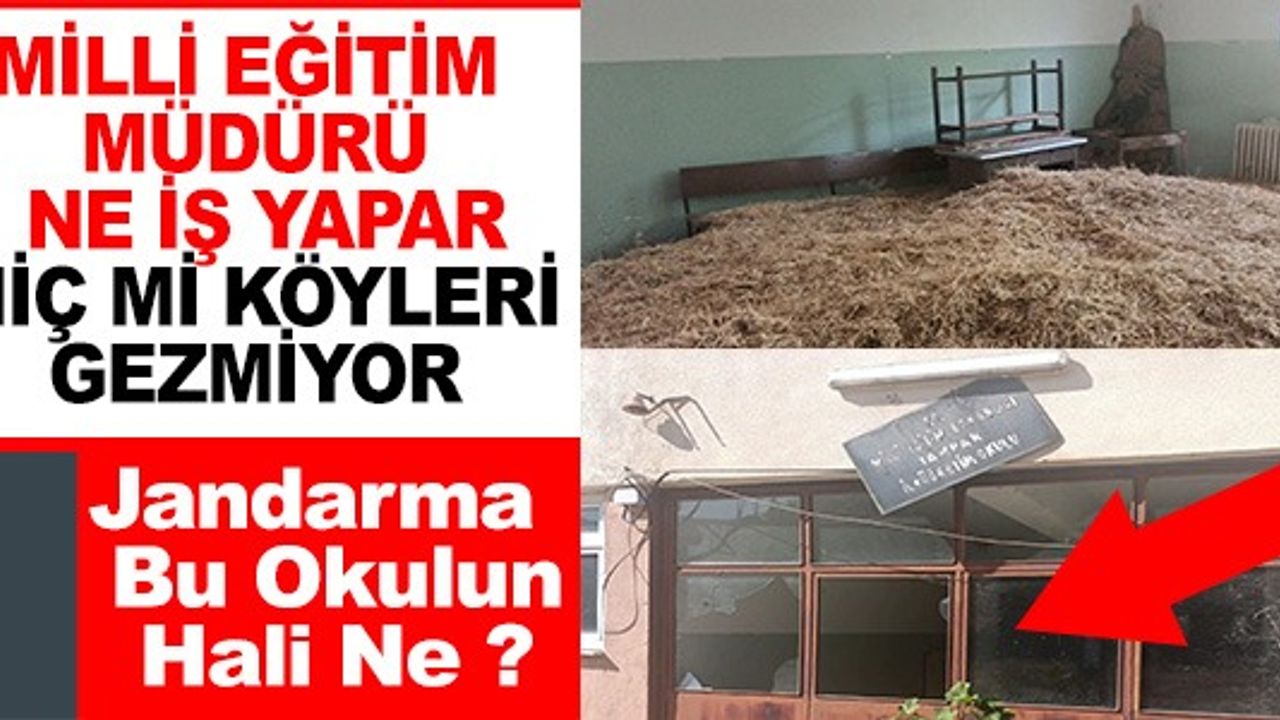 MİLLİ EĞİTİM MÜDÜRÜ NE İŞ YAPAR HİÇ Mİ KÖYLERİ GEZMİYOR