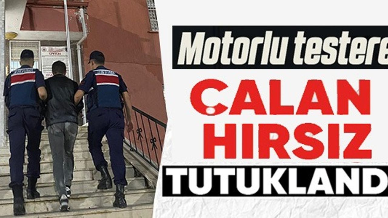 MOTORLU TESTERE ÇALAN HIRSIZ TUTUKLANDI