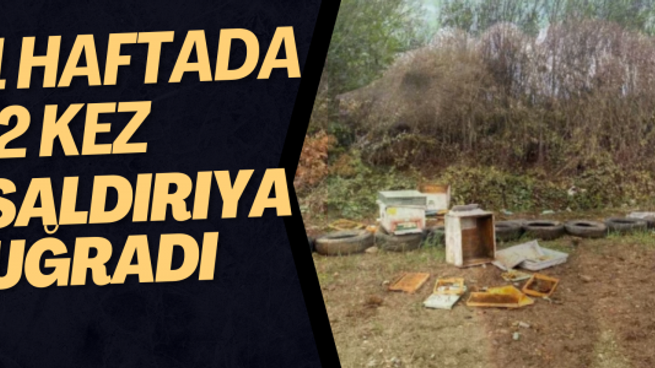 1 HAFTADA 2 KEZ SALDIRIYA UĞRADI