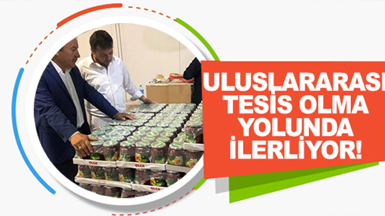 ULUSLARARASI TESİS OLMA YOLUNDA İLERLİYOR!
