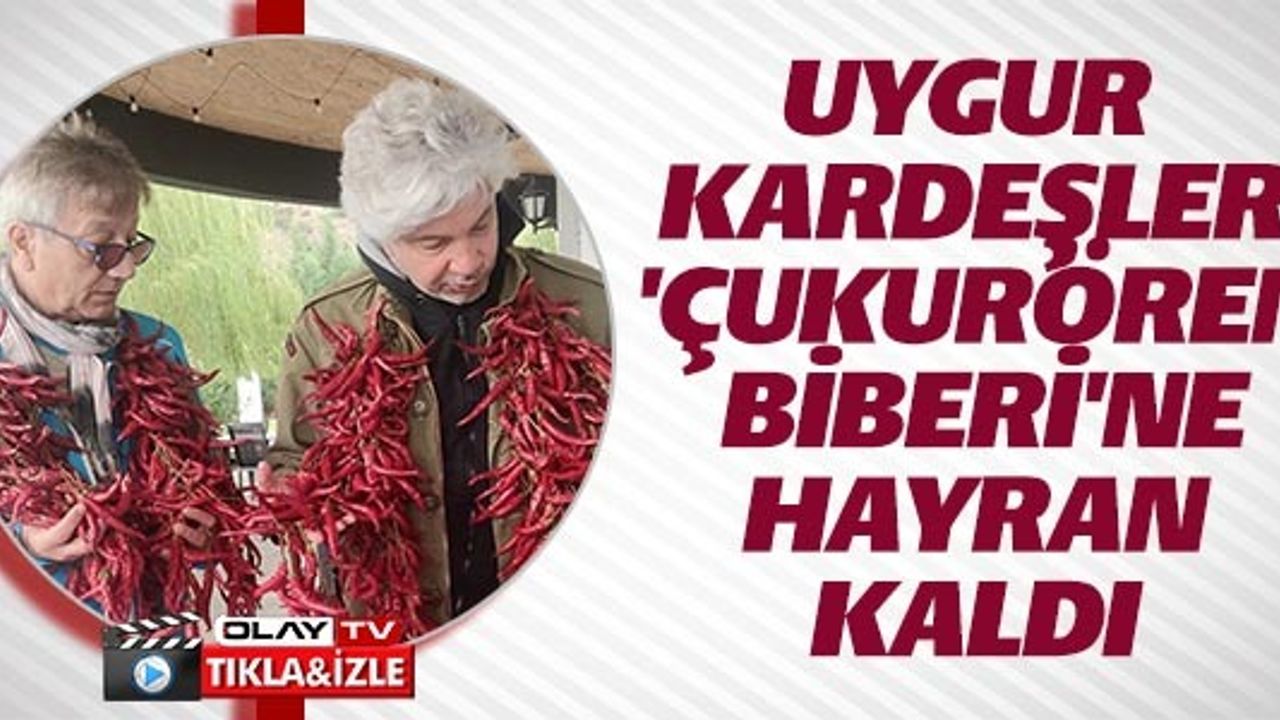 UYGUR KARDEŞLER ÇUKURÖREN BİBERİNE HAYRAN KALDI