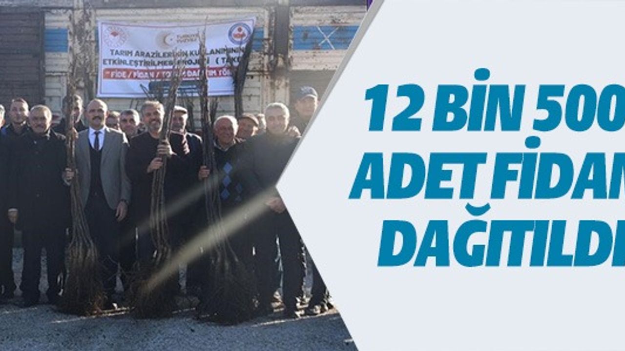 12 BİN 500 ADET FİDAN DAĞITILDI
