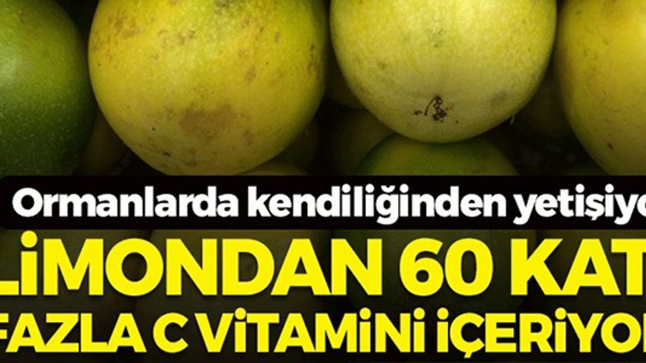 LİMONDAN 60 KAT FAZLA C VİTAMİNİ İÇERİYOR