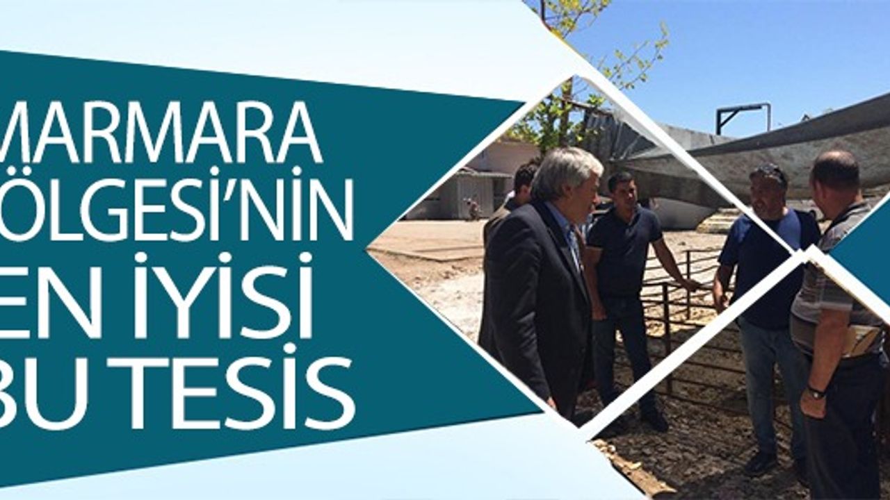 MARAMARA BÖLGESİ'NİN EN İYİSİ BU TESİS