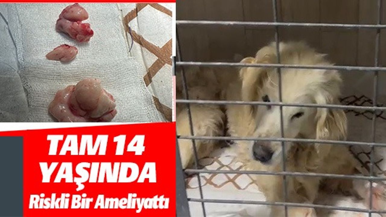 TAM 14 YAŞINDA RİSKLİ BİR AMELİYATTI