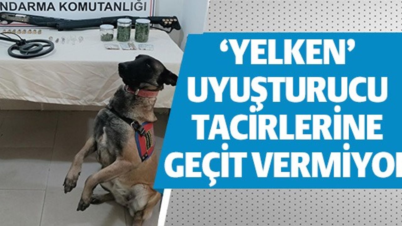 'YELKEN' UYUŞTURUCU TACİRLERİNE GEÇİT VERMİYOR
